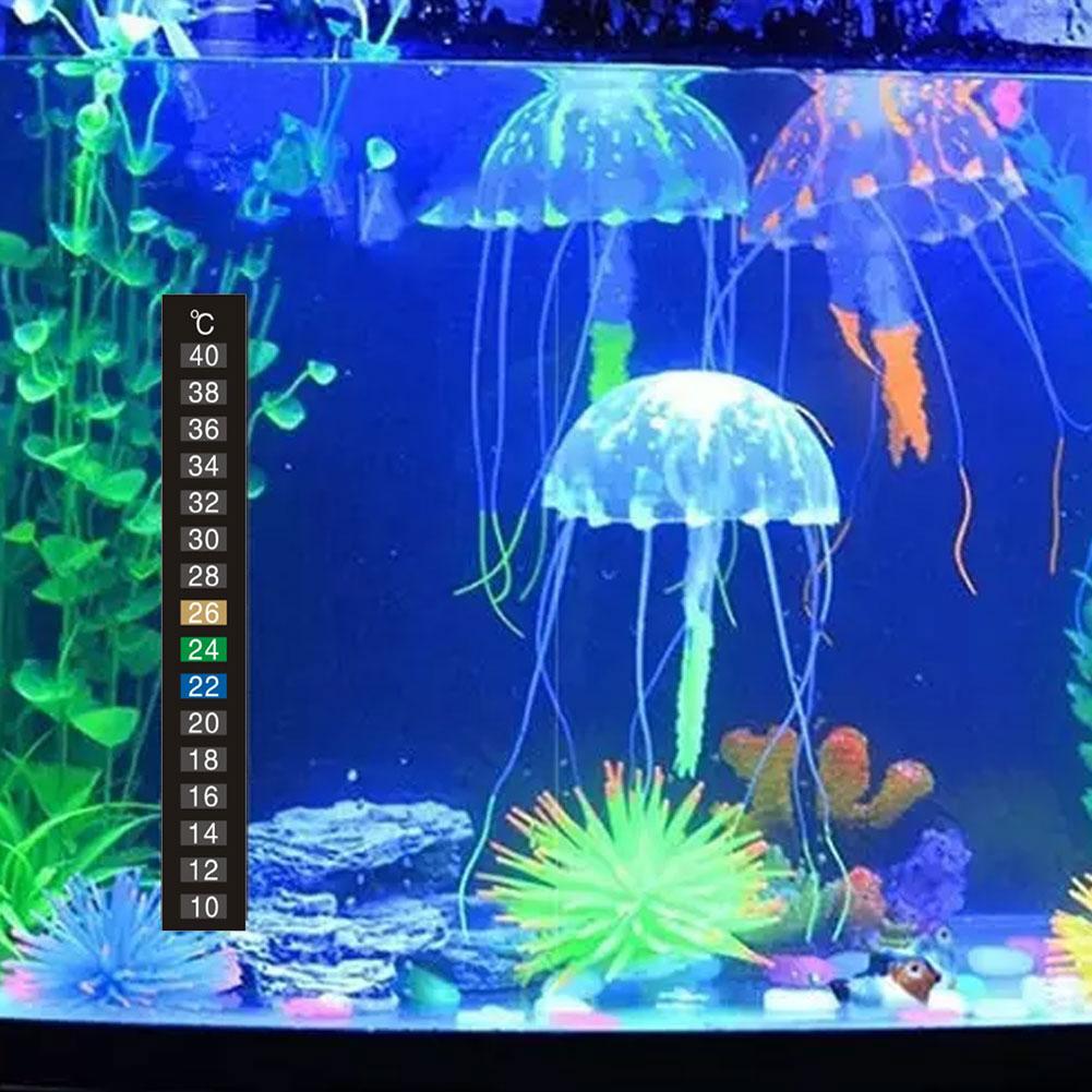 Discoloration Thermometer Stic - Aquarium Thermometer recensione e prezzo