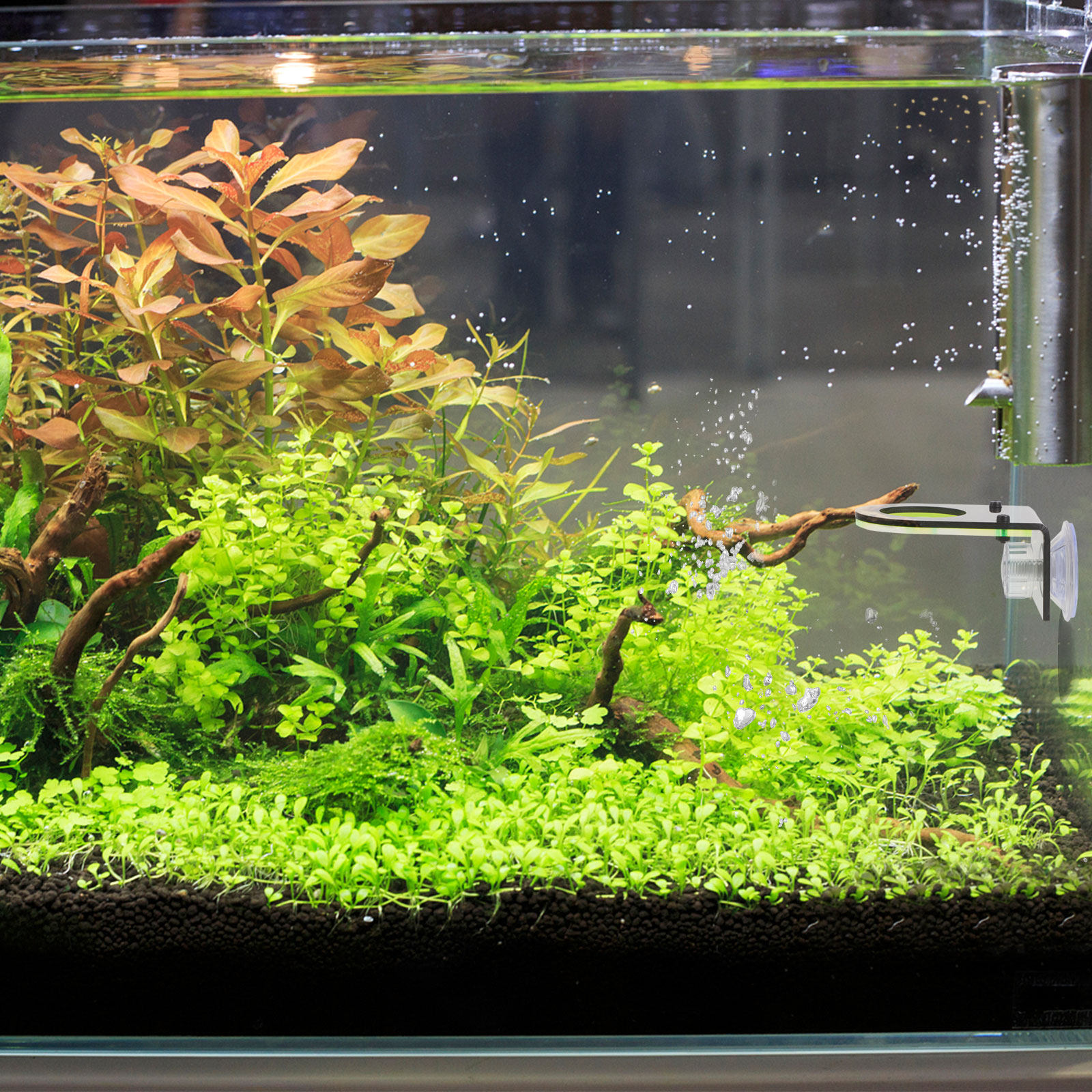 2Pcs High Quality Acrylic Cora - Aquarium Fish Quality recensione e prezzo