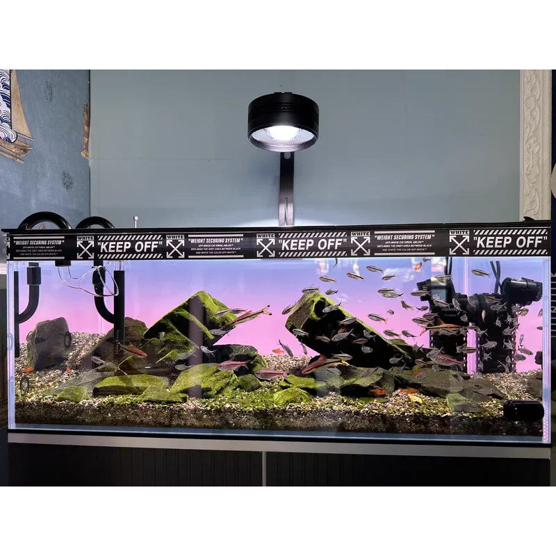 RGB Acrylic Fish Tank Backdrop - Aquarium Fish Colour recensione e prezzo