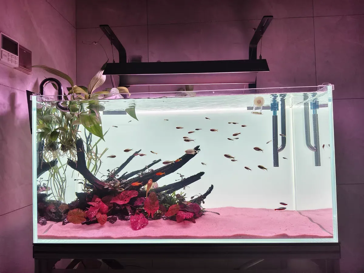 RGB Acrylic Fish Tank Backdrop - Aquarium Fish Colour recensione e prezzo