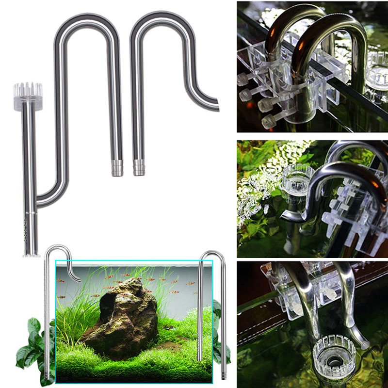 New Fish Tank Lily Pipe Stainl - Aquarium Fish Photography recensione e prezzo