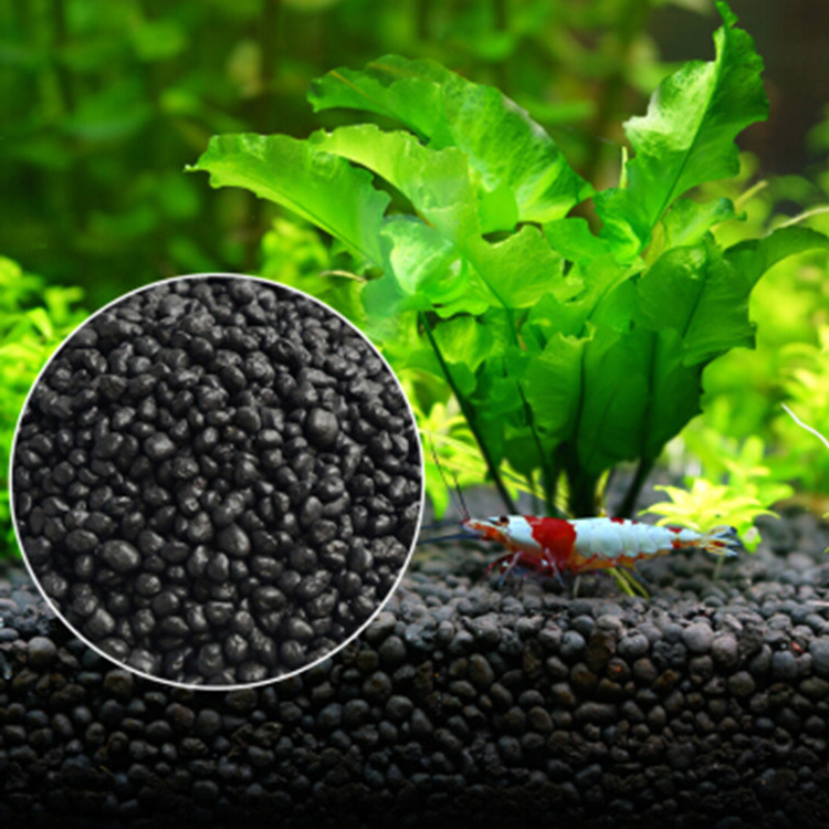 Aquarium Plant Seeds Soil Fish - Aquarium Fish Photography recensione e prezzo