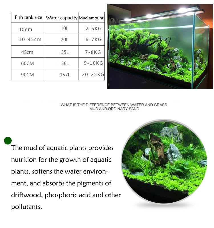 Aquarium Plant Seeds Soil Fish - Aquarium Fish Photography recensione e prezzo