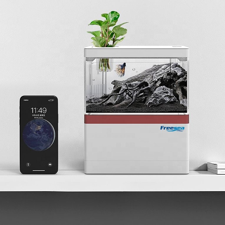 FREESEA High Quality LED Displ - Aquarium Fish Quality recensione e prezzo