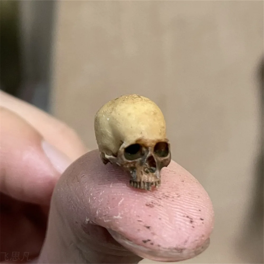 Mini Skull High Quality Miniat - Aquarium Fish To Buy recensione e prezzo
