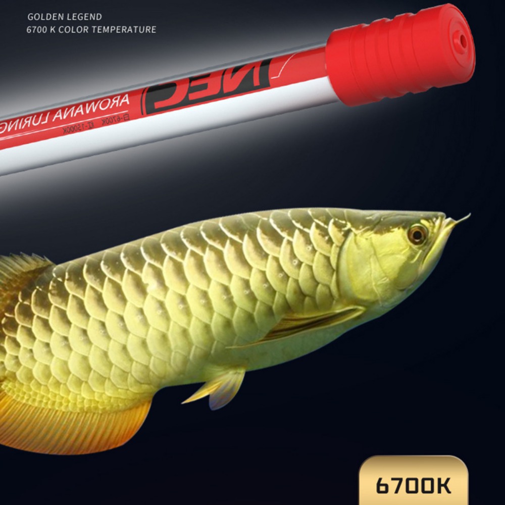 NEC-Arowana Lamp Color Brighte - Aquarium Fish For Beginners recensione e prezzo