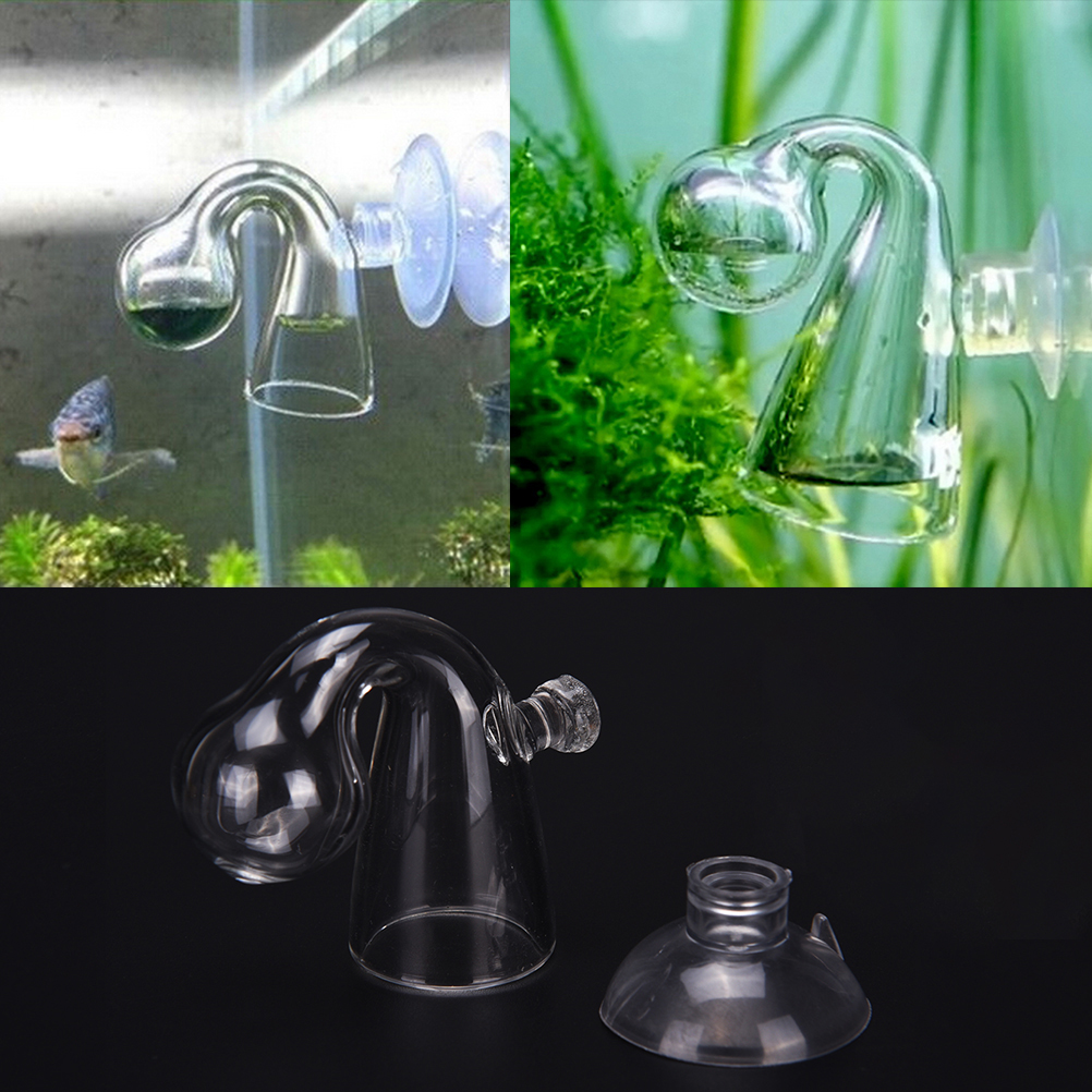 Fish Tank CO2 Diffuse Glass Dr - Aquarium Fish Photography recensione e prezzo