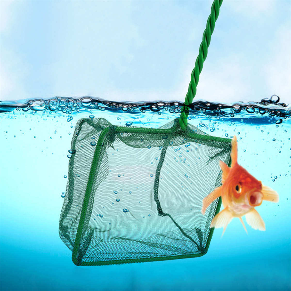 3~10 Inch Portable Nylon Green - Aquarium Fish Long recensione e prezzo