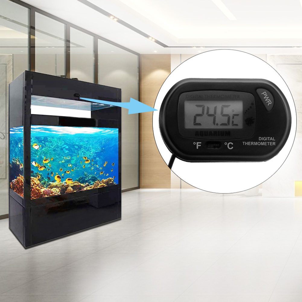 Aquarium Thermometer Suction C - Aquarium Thermometer recensione e prezzo