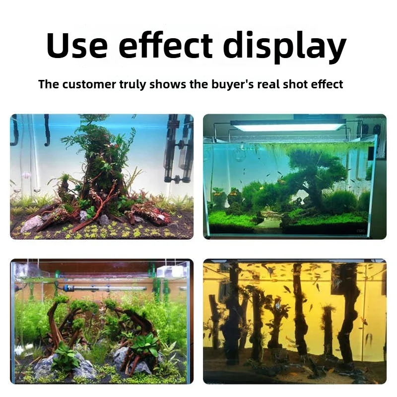 Custom Fish Tank Backlight LED - Aquarium Fish Colour recensione e prezzo