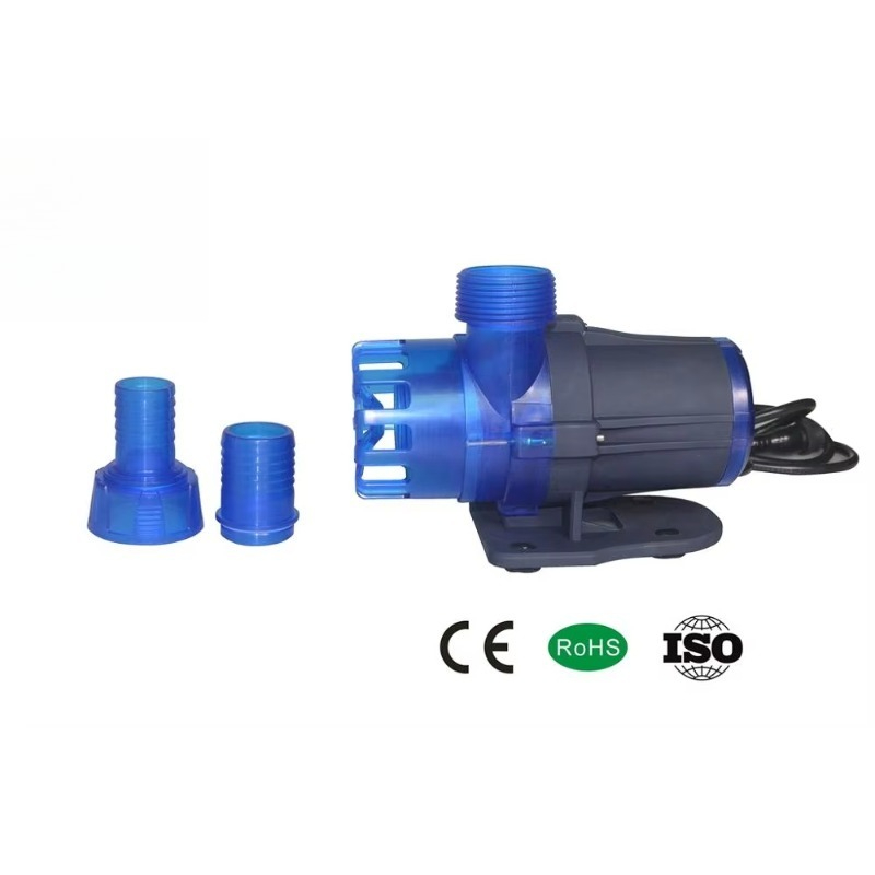 Hot Sale Extra Quiet Seawater  - Aquarium Fish Sale recensione e prezzo