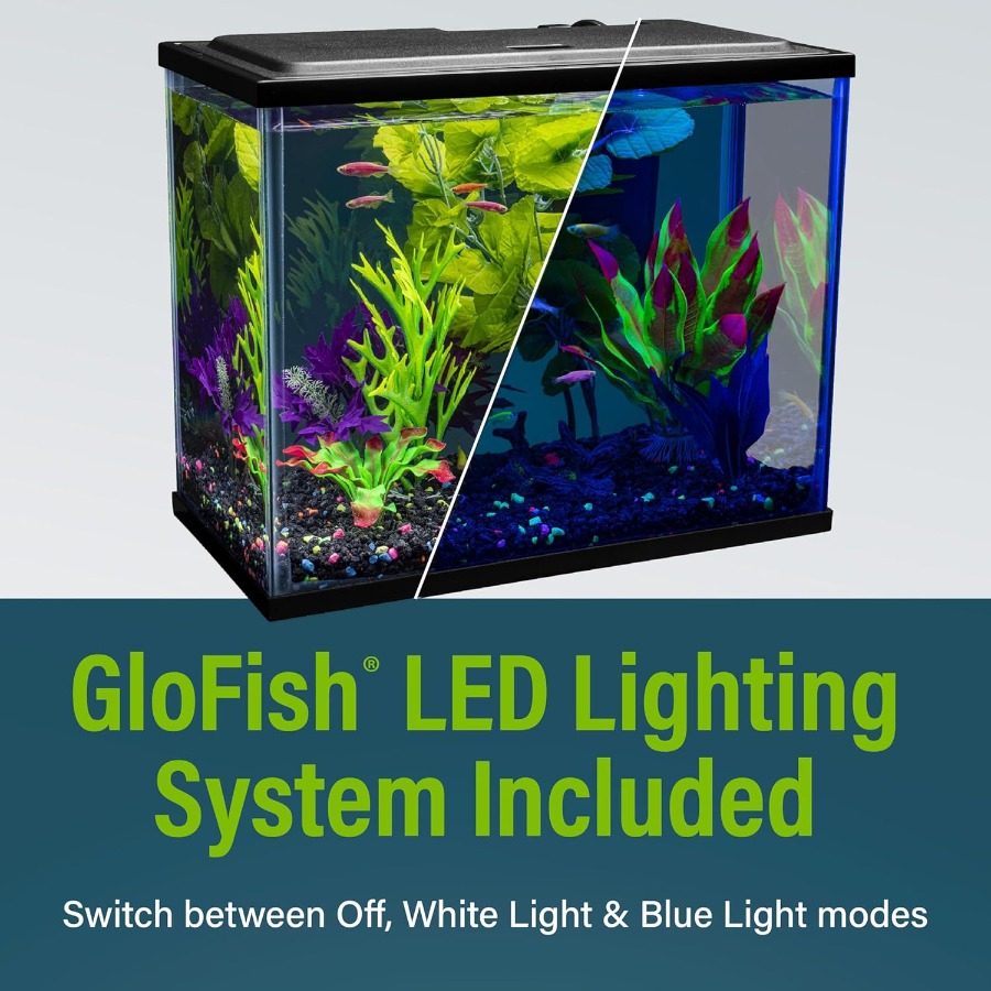 6.6 Gallon Fish Tank Starter K - Tetra Fish In Aquarium recensione e prezzo