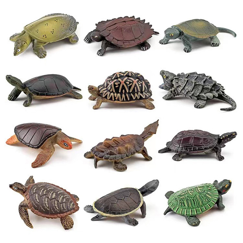 Realistic Turtle Action Figure - Aquarium Fish For Beginners recensione e prezzo