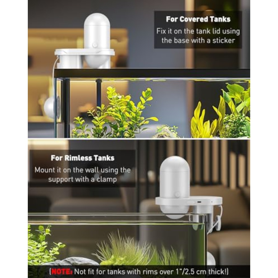 Aquarium WiFi Automatic Fish F - Aquarium Fish Video recensione e prezzo