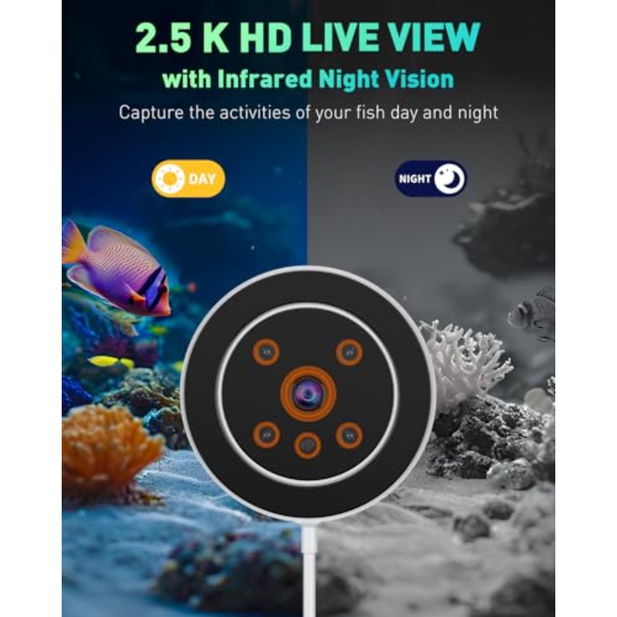 Aquarium WiFi Automatic Fish F - Aquarium Fish Video recensione e prezzo