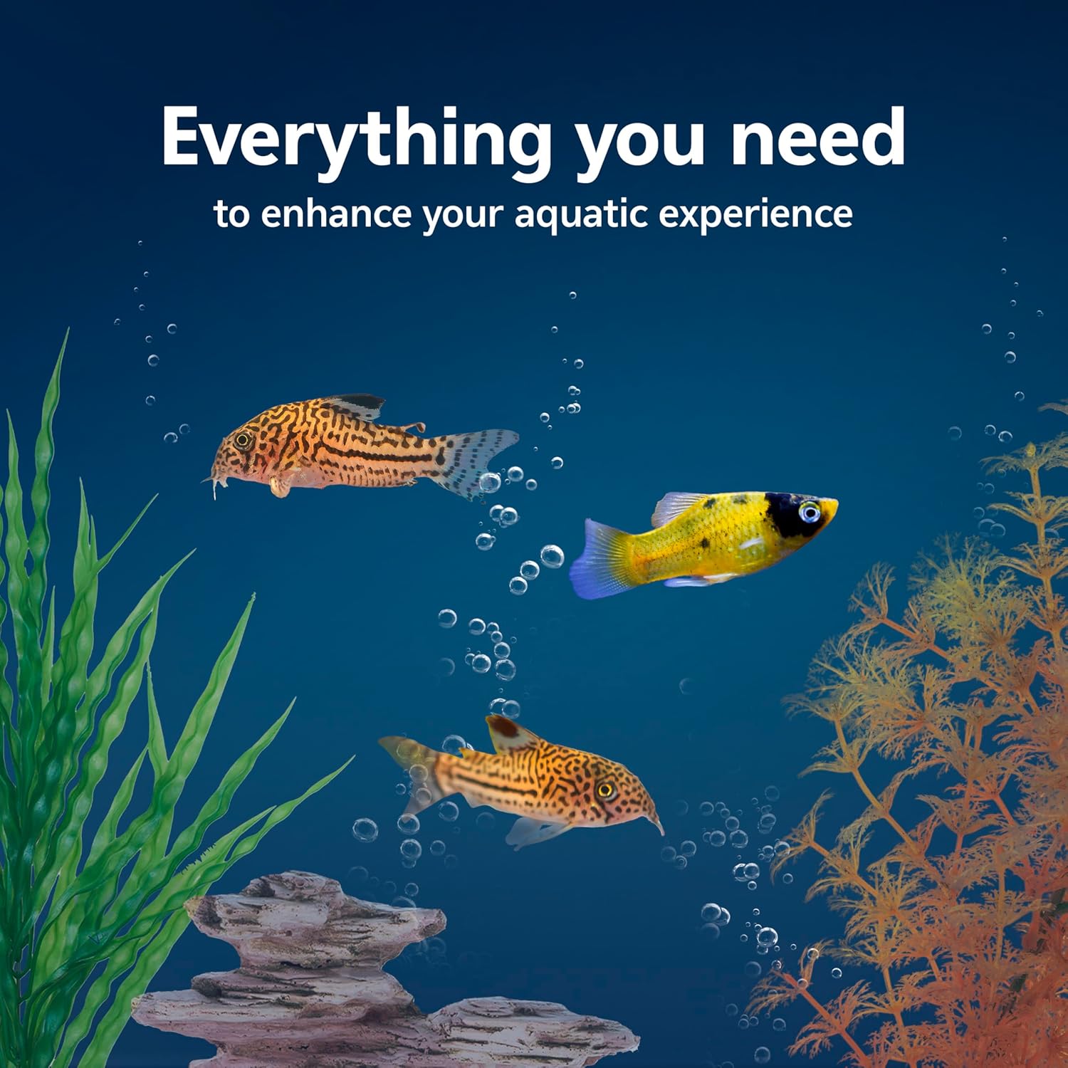 Aquarium Starter Kit with Smar - Tetra Fish In Aquarium recensione e prezzo