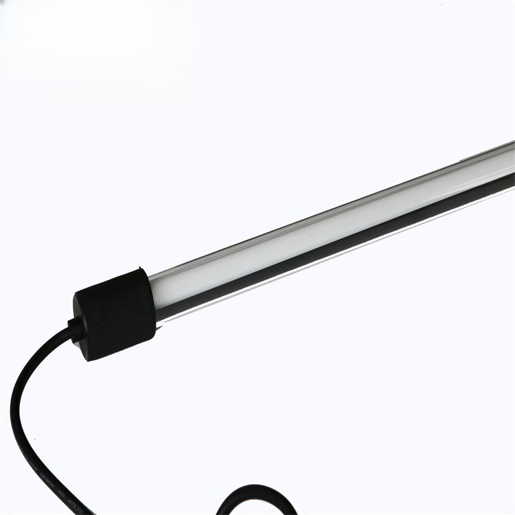Factory direct sales ornamenta - Aquarium Fish Sale recensione e prezzo