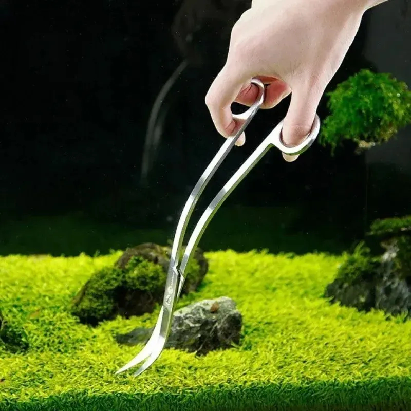 Aquarium Scissors,Extra Long S - Aquarium Fish Long recensione e prezzo