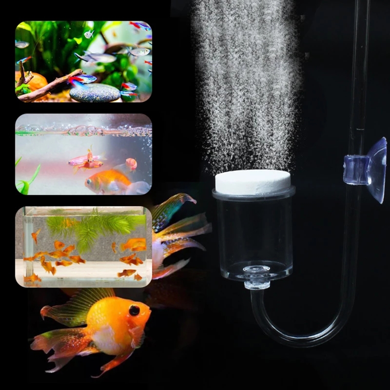 4pcs Set DIY CO2 Diffuser For  - Aquarium Fish Photography recensione e prezzo