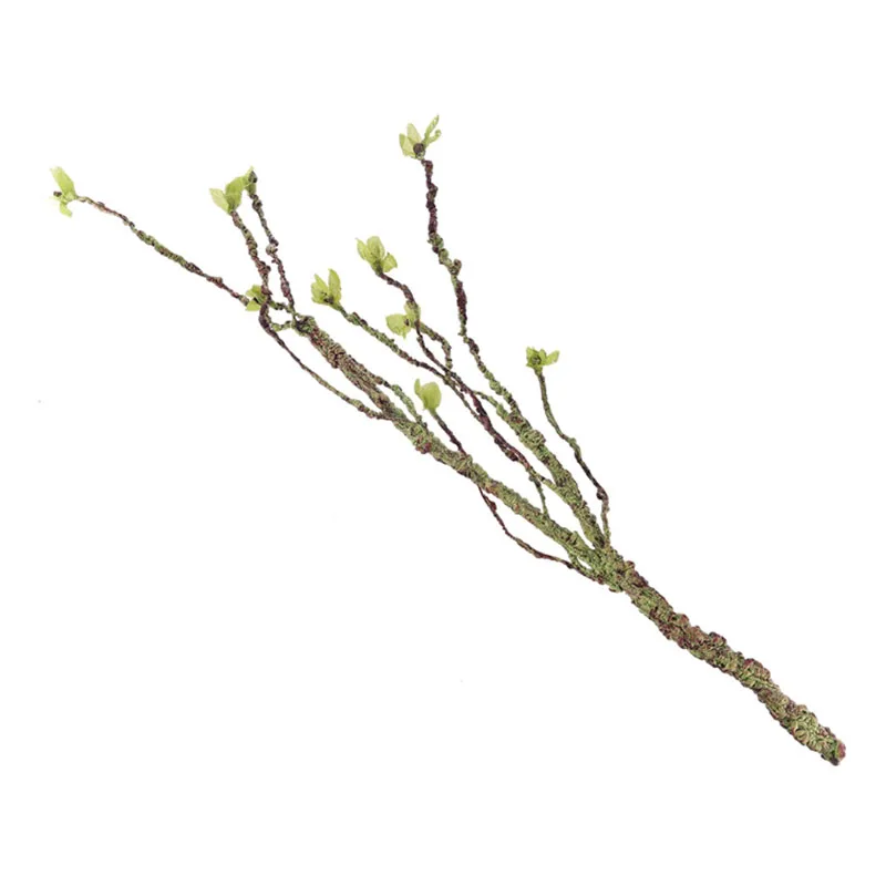 Vines Decor Climbing Branches  - Aquarium Fish To Buy recensione e prezzo