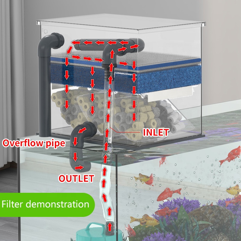 Factory Direct Sales Aquarium  - Aquarium Fish Sale recensione e prezzo