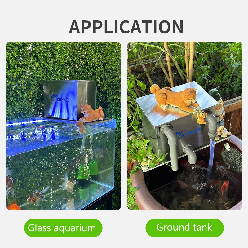 Factory Direct Sales Aquarium  - Aquarium Fish Sale recensione e prezzo