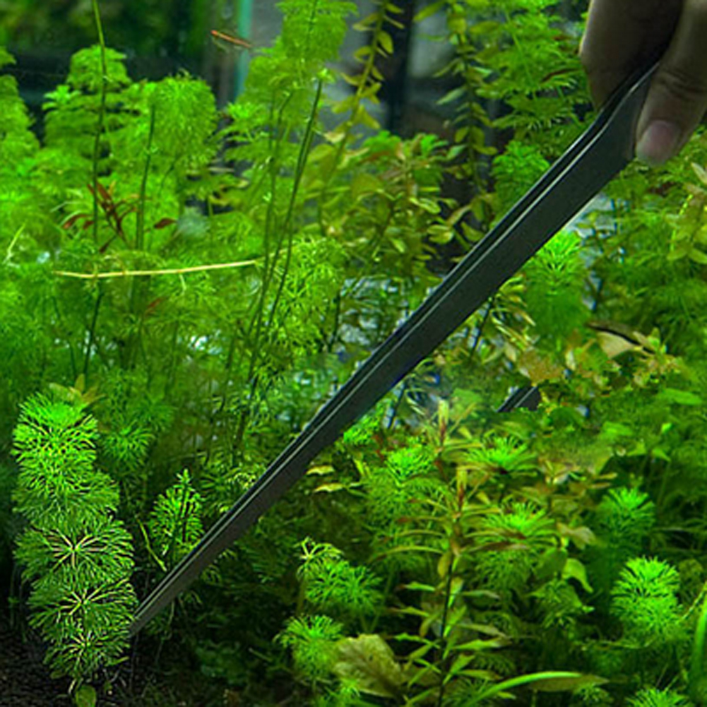 10.5 Inch Reptile Feeding Tong - Aquarium Fish Long recensione e prezzo